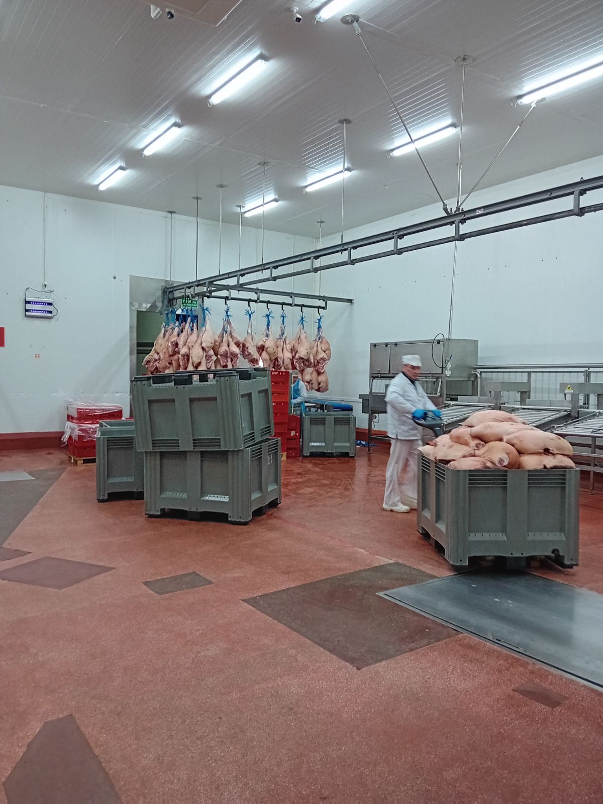 pracownik przy produkcji wyrobów mięsnych