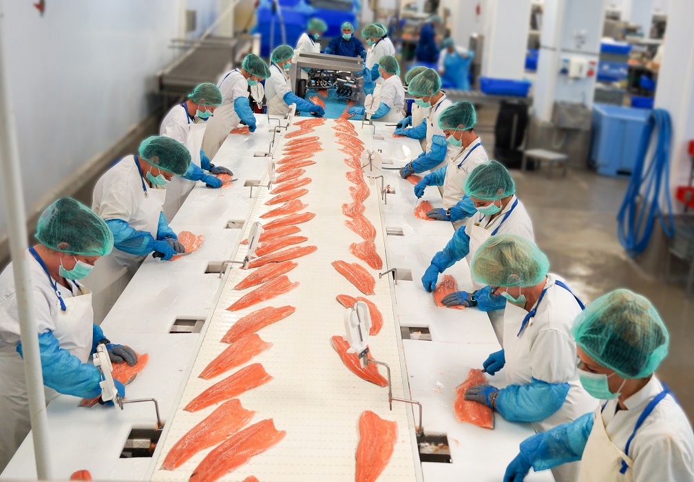 work in the fish industry